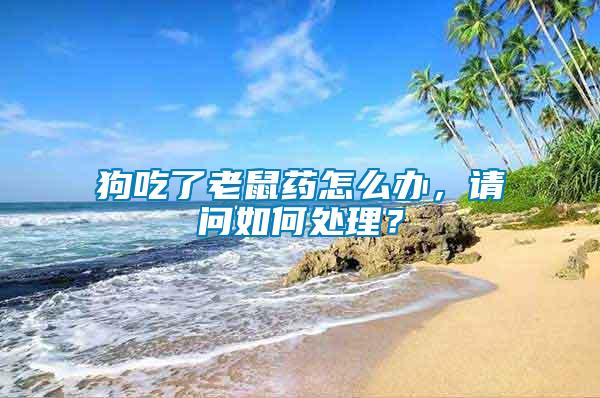 狗吃了老鼠藥怎么辦，請問如何處理？