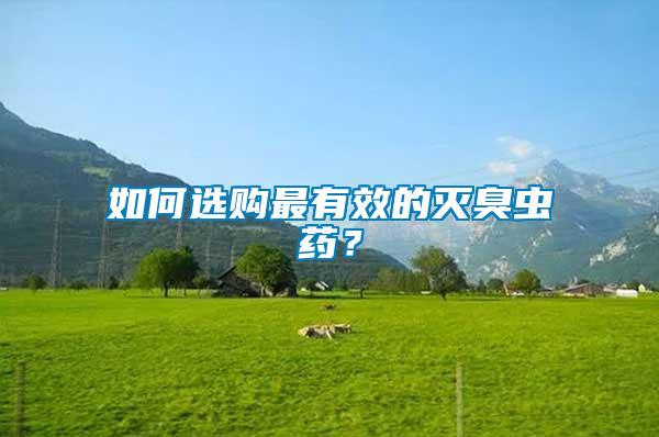 如何選購最有效的滅臭蟲藥？