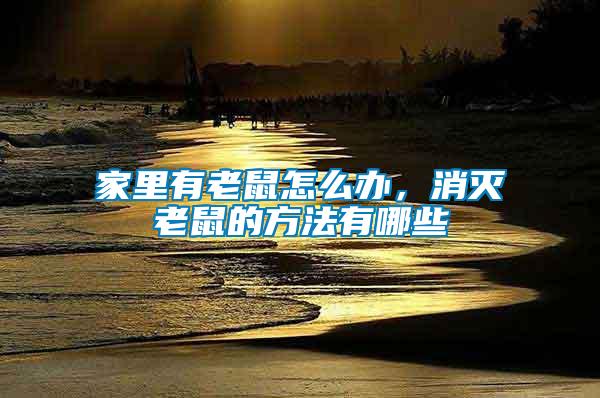家里有老鼠怎么辦，消滅老鼠的方法有哪些
