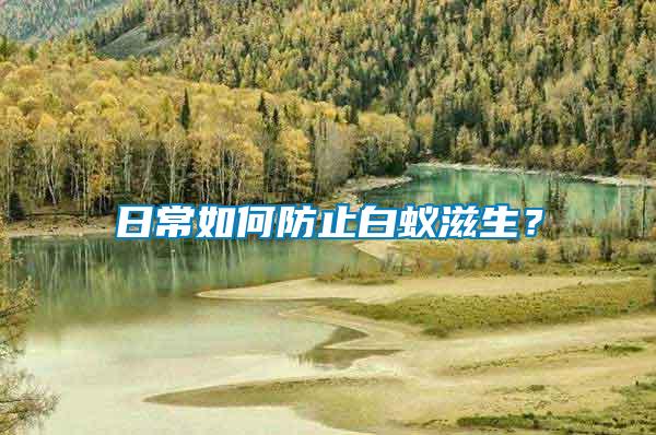 日常如何防止白蟻滋生？