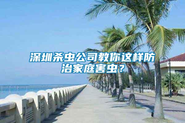 深圳殺蟲公司教你這樣防治家庭害蟲？