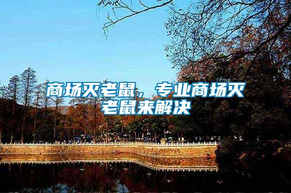 商場(chǎng)滅老鼠，專業(yè)商場(chǎng)滅老鼠來(lái)解決