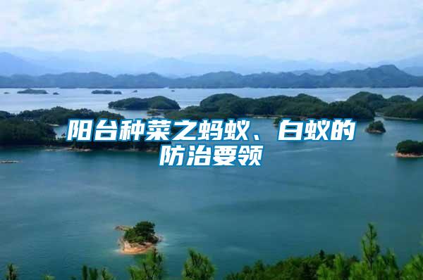 陽臺種菜之螞蟻、白蟻的防治要領