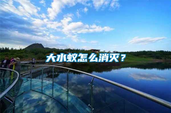 大水蟻怎么消滅？