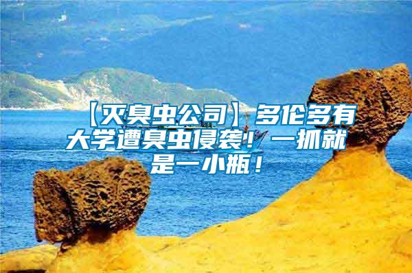 【滅臭蟲公司】多倫多有大學(xué)遭臭蟲侵襲！一抓就是一小瓶！