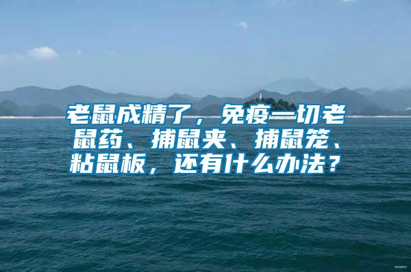 老鼠成精了，免疫一切老鼠藥、捕鼠夾、捕鼠籠、粘鼠板，還有什么辦法？
