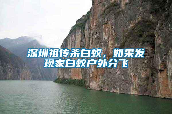 深圳祖傳殺白蟻，如果發現家白蟻戶外分飛