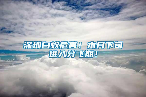 深圳白蟻危害！本月下旬進入分飛期！