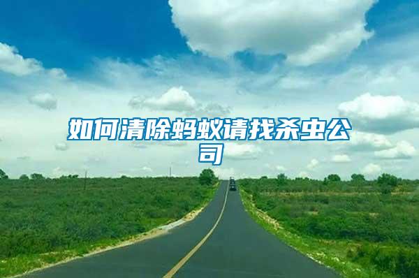如何清除螞蟻請找殺蟲公司