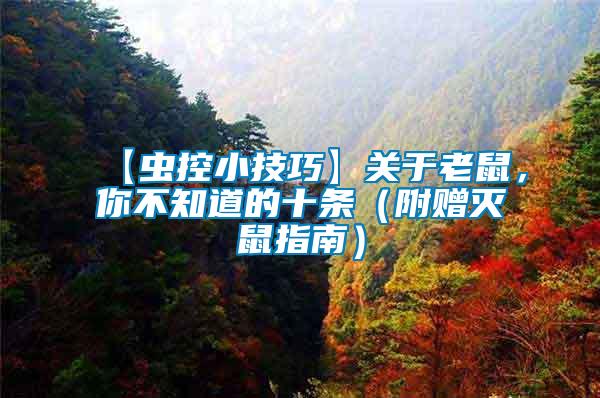 【蟲控小技巧】關(guān)于老鼠，你不知道的十條（附贈(zèng)滅鼠指南）