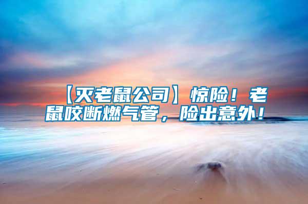 【滅老鼠公司】驚險！老鼠咬斷燃氣管，險出意外！