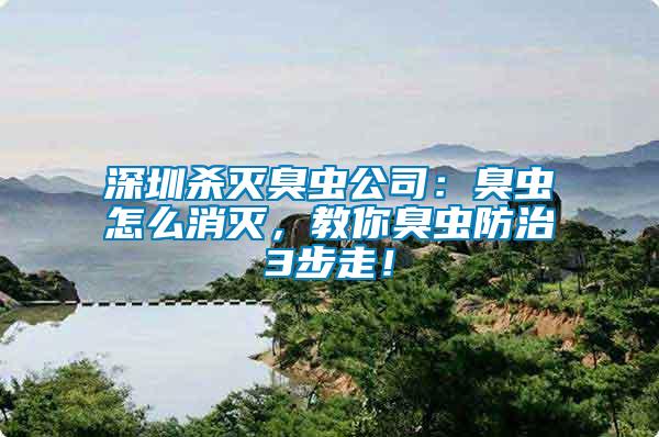 深圳殺滅臭蟲公司：臭蟲怎么消滅，教你臭蟲防治3步走！