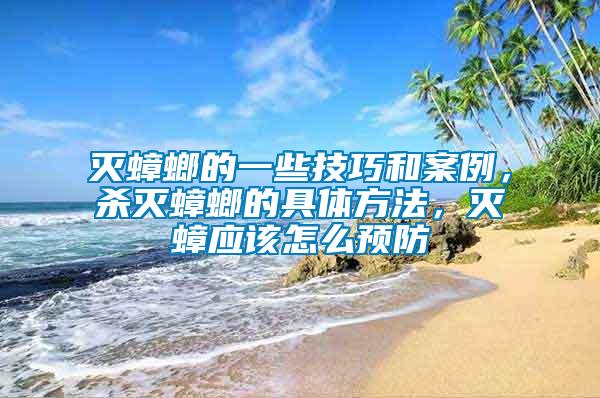 滅蟑螂的一些技巧和案例，殺滅蟑螂的具體方法，滅蟑應(yīng)該怎么預(yù)防