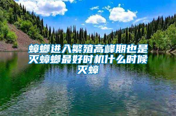 蟑螂進入繁殖高峰期也是滅蟑螂最好時機什么時候滅蟑
