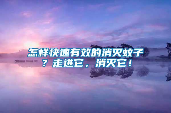 怎樣快速有效的消滅蚊子？走進(jìn)它，消滅它！