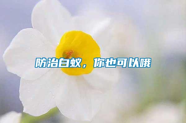 防治白蟻，你也可以哦