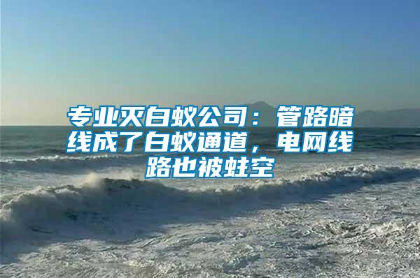 專業(yè)滅白蟻公司：管路暗線成了白蟻通道，電網(wǎng)線路也被蛀空