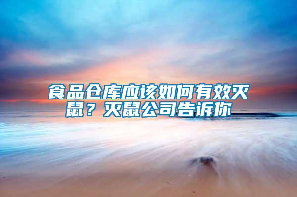 食品倉庫應該如何有效滅鼠？滅鼠公司告訴你