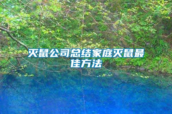 滅鼠公司總結家庭滅鼠最佳方法