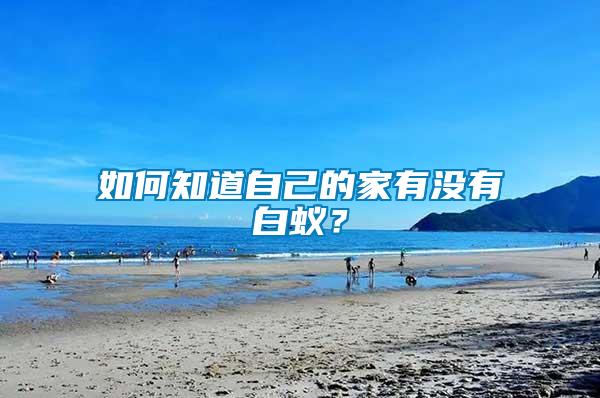 如何知道自己的家有沒有白蟻？