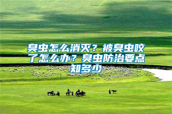 臭蟲怎么消滅？被臭蟲咬了怎么辦？臭蟲防治要點知多少