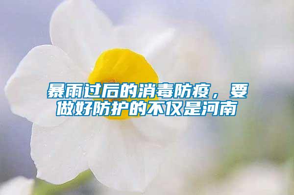 暴雨過后的消毒防疫，要做好防護的不僅是河南
