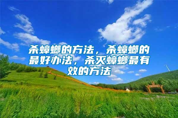 殺蟑螂的方法，殺蟑螂的最好辦法，殺滅蟑螂最有效的方法