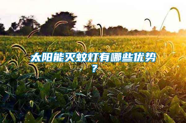 太陽能滅蚊燈有哪些優勢？