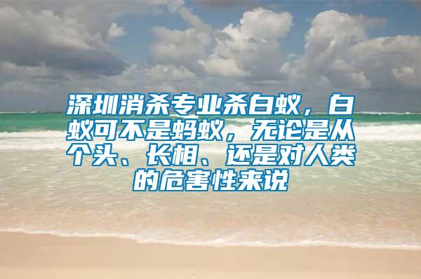 深圳消殺專業(yè)殺白蟻，白蟻可不是螞蟻，無論是從個頭、長相、還是對人類的危害性來說