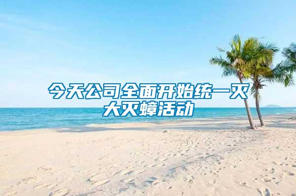 今天公司全面開始統一滅大滅蟑活動