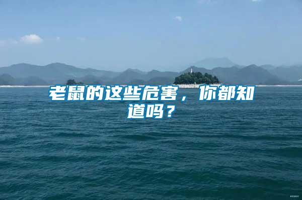 老鼠的這些危害，你都知道嗎？