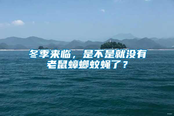 冬季來臨，是不是就沒有老鼠蟑螂蚊蠅了？