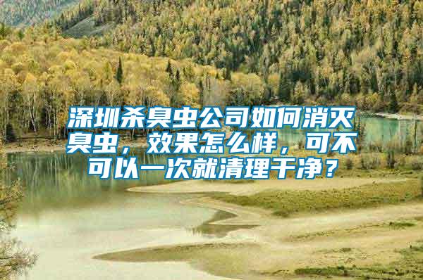 深圳殺臭蟲公司如何消滅臭蟲，效果怎么樣，可不可以一次就清理干凈？