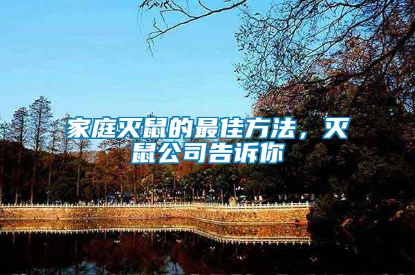家庭滅鼠的最佳方法，滅鼠公司告訴你