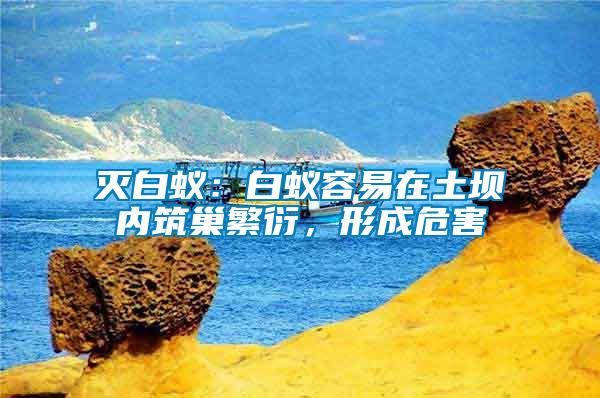 滅白蟻：白蟻容易在土壩內筑巢繁衍，形成危害