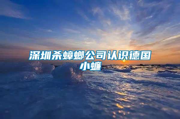 深圳殺蟑螂公司認(rèn)識(shí)德國(guó)小蠊