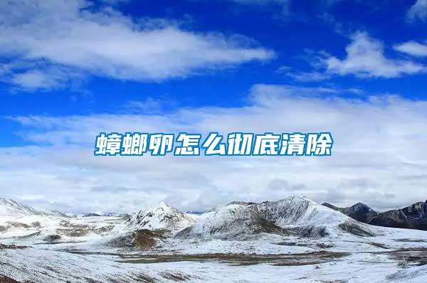 蟑螂卵怎么徹底清除