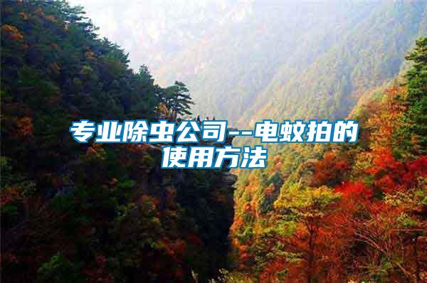 專業除蟲公司--電蚊拍的使用方法