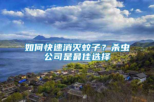 如何快速消滅蚊子？殺蟲公司是最佳選擇