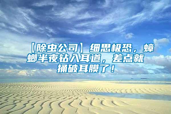 【除蟲公司】細思極恐，蟑螂半夜鉆入耳道，差點就捅破耳膜了！