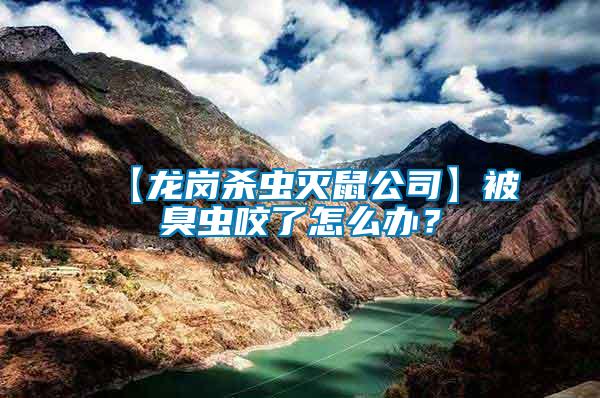 【龍崗殺蟲滅鼠公司】被臭蟲咬了怎么辦？