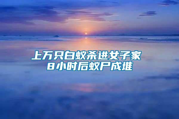 上萬只白蟻殺進(jìn)女子家 8小時(shí)后蟻尸成堆