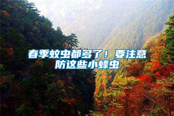 春季蚊蟲都多了！要注意防這些小蜂蟲