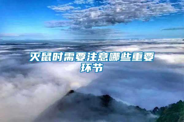 滅鼠時需要注意哪些重要環節