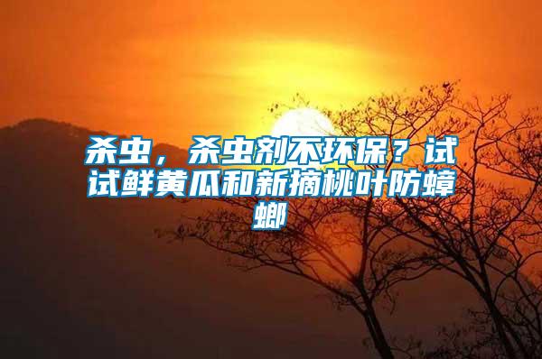 殺蟲，殺蟲劑不環保？試試鮮黃瓜和新摘桃葉防蟑螂