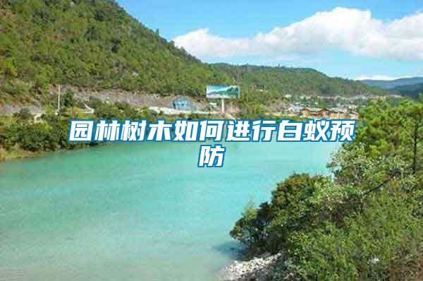 園林樹木如何進行白蟻預防