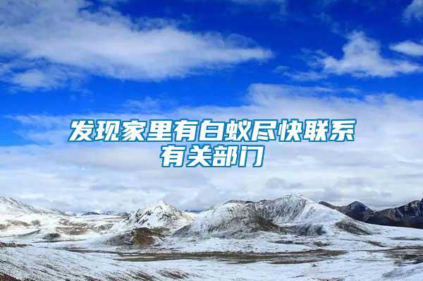 發(fā)現(xiàn)家里有白蟻盡快聯(lián)系有關(guān)部門(mén)