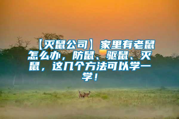 【滅鼠公司】家里有老鼠怎么辦，防鼠、驅(qū)鼠、滅鼠，這幾個(gè)方法可以學(xué)一學(xué)！