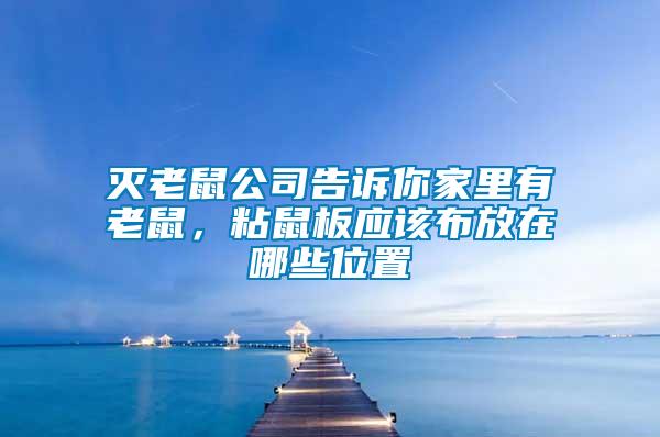 滅老鼠公司告訴你家里有老鼠，粘鼠板應該布放在哪些位置