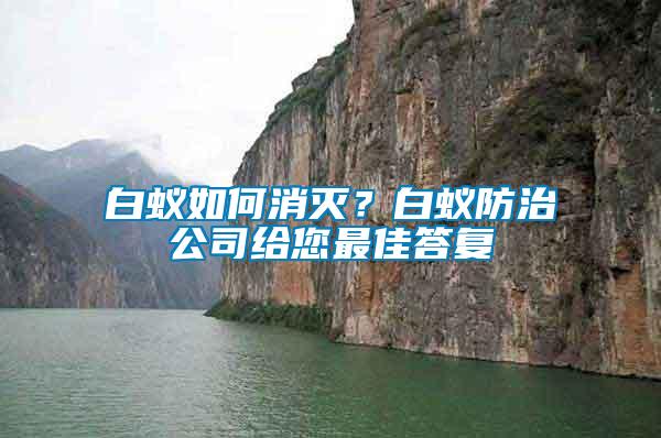 白蟻如何消滅？白蟻防治公司給您最佳答復